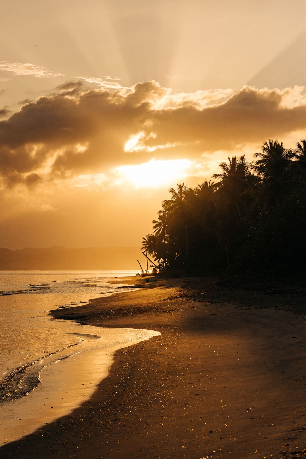 Collective Category Image